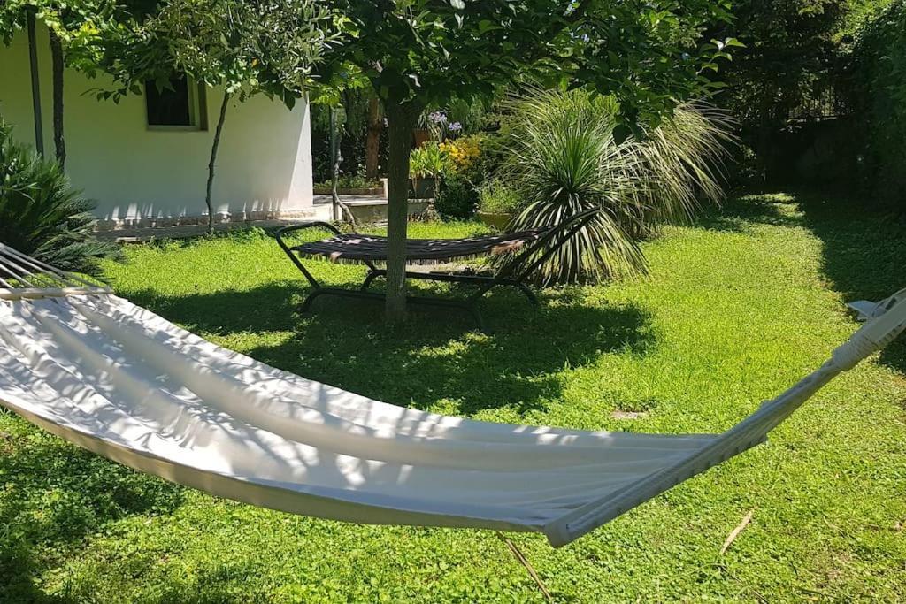 Countryhouse Gli Ulivi Modugno Kültér fotó