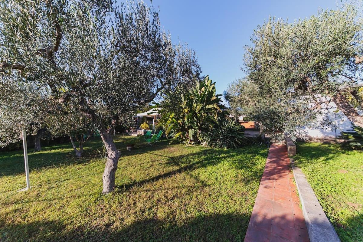 Countryhouse Gli Ulivi Modugno Kültér fotó