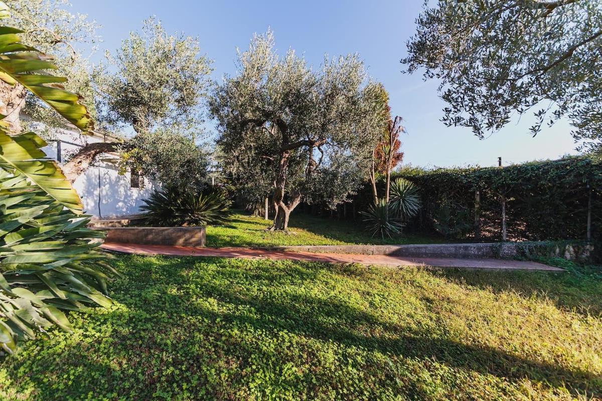 Countryhouse Gli Ulivi Modugno Kültér fotó